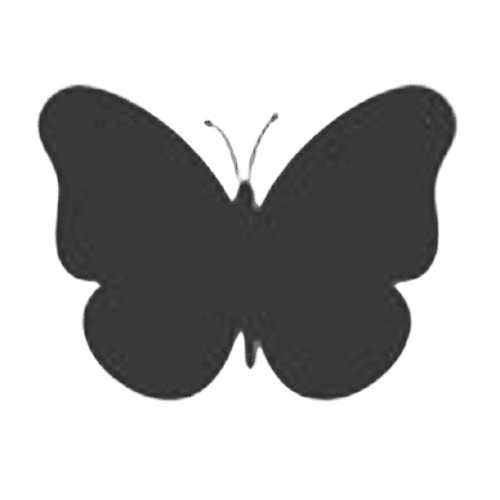 Papillon décoratif