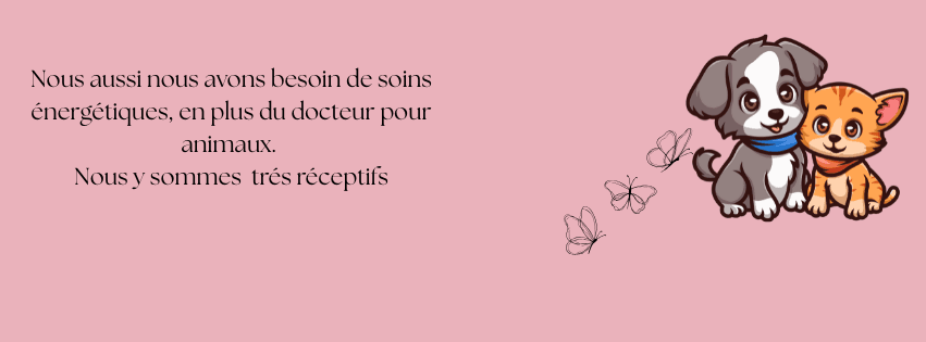 Soin énergétique ou magnétisme sur animal